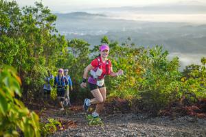 BIB: 
                            <button type="button" onclick="openModal(21875303)" class="btn btn-primary btn-sm float-right btn-popup" data-toggle="modal" data-target=".modal-high-quality">
                        <i class="fas fa-shopping-cart"></i> Add to Cart
                    </button>
                                            <button type="button" onclick="isThisMe(21875303, true)" class="btn btn-success btn-sm float-right btn-popup btn-isme hidden" data-toggle="tooltip" data-placement="bottom" title="นี่คือรูปของคุณใช่ไหม คลิกที่นี่เพื่อเอาเข้าอัลบั้ม">
                        <i class="fas fa-plus"></i> Add to album
                    </button>
                    <button type="button" onclick="isThisMe(21875303, false)" class="btn btn-warning btn-sm float-right btn-popup btn-isnotme hidden">
                        <i class="fas fa-ban"></i> Remove from album
                    </button>